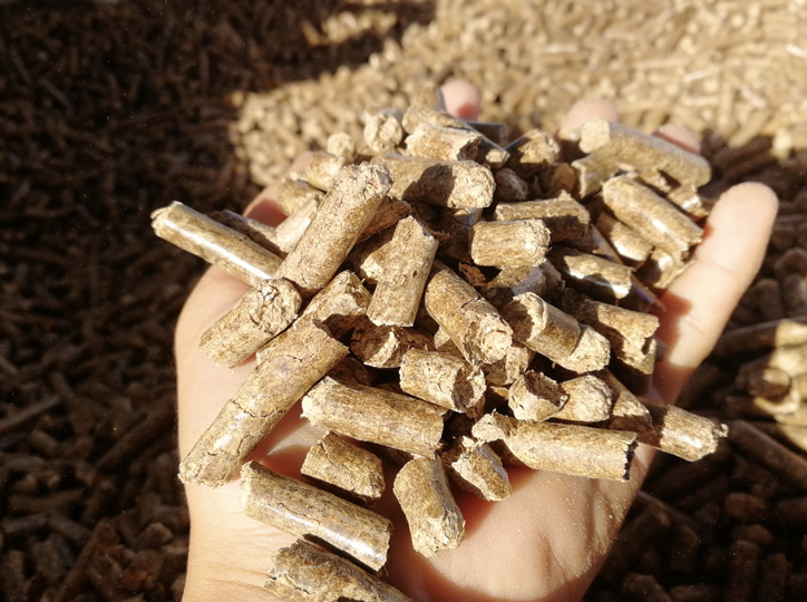 玉米秸稈代替花生秧做飼料，可行嗎